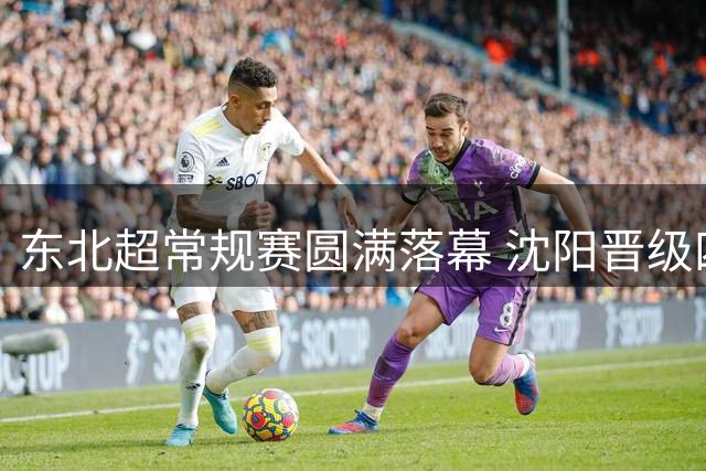 东北超常规赛圆满落幕 沈阳晋级四强将战长春