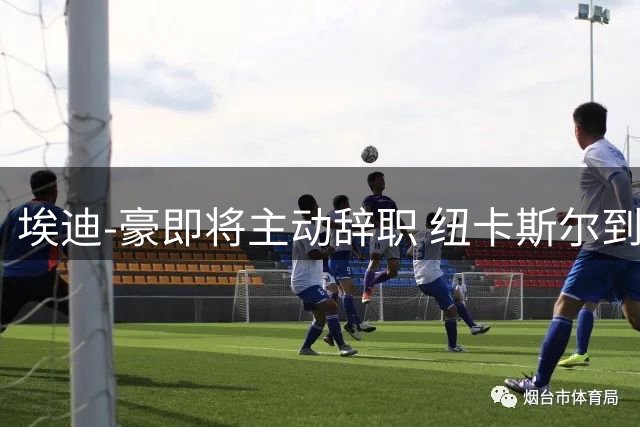 埃迪-豪即将主动辞职 纽卡斯尔到底发生了什么？