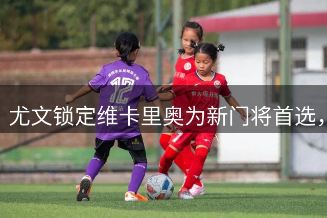 尤文锁定维卡里奥为新门将首选，大马丁转会谈判终止