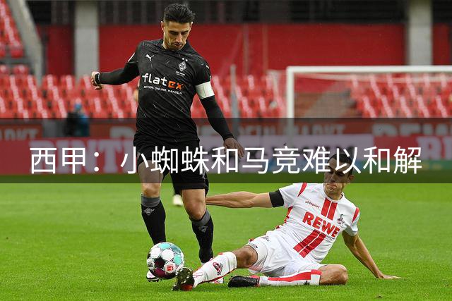 西甲：小蜘蛛和马竞难以和解